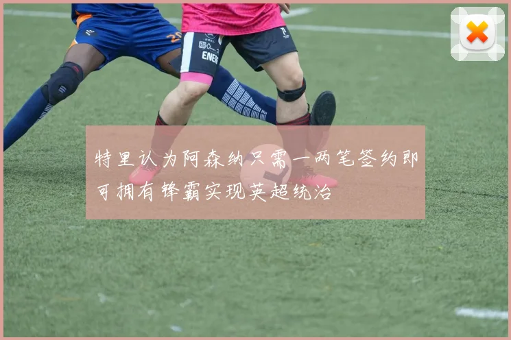 特里认为阿森纳只需一两笔签约即可拥有锋霸实现英超统治